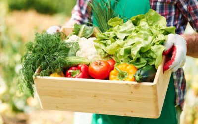 Why Organic Farming from Kerala Is Taking the Global Stage